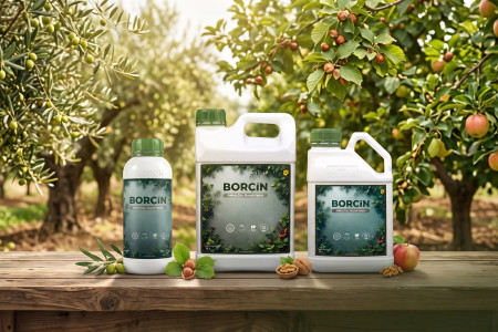 Ecobor Borçin ile Tarımda Maksimum Verim: Tüm Ağaç Grupları, Zeytin, Ceviz ve Tahıllarda Üstün Performans