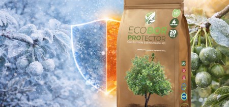 Kış Soğukları ve Çevresel Streslere Karşı Bitkilerde Güçlü Koruma