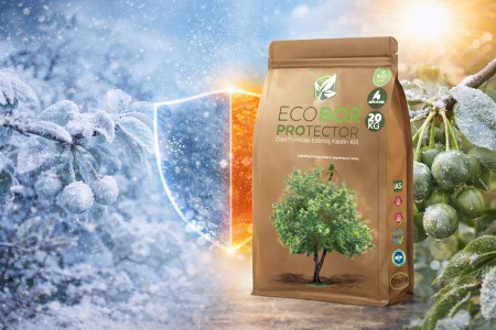 Kış Soğukları ve Çevresel Streslere Karşı Bitkilerde Güçlü Koruma