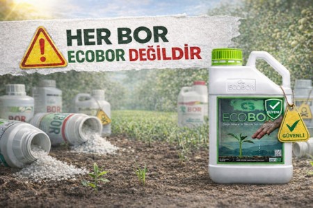 Her Bor Ecobor Değildir