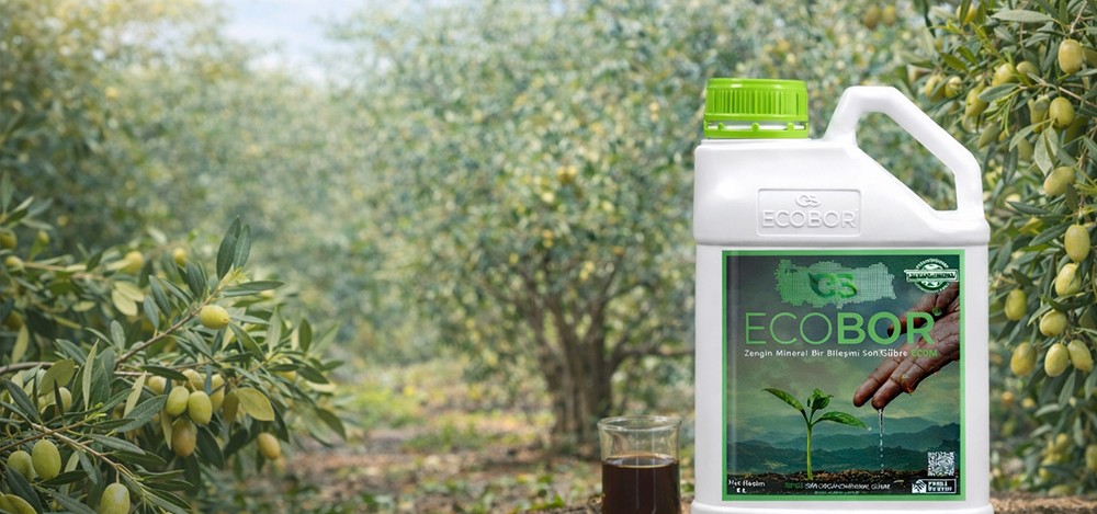 Zeytin Yetiştiriciliğinde Borun Önemi ve Ecobor’un Verim ile Kaliteye Etkisi