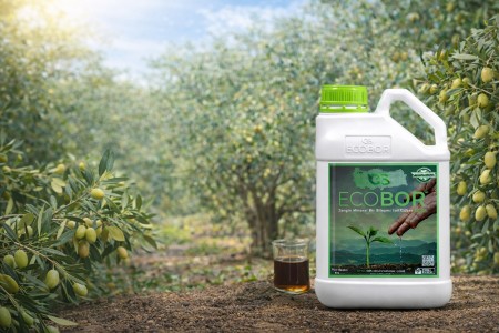 Zeytin Yetiştiriciliğinde Borun Önemi ve Ecobor’un Verim ile Kaliteye Etkisi