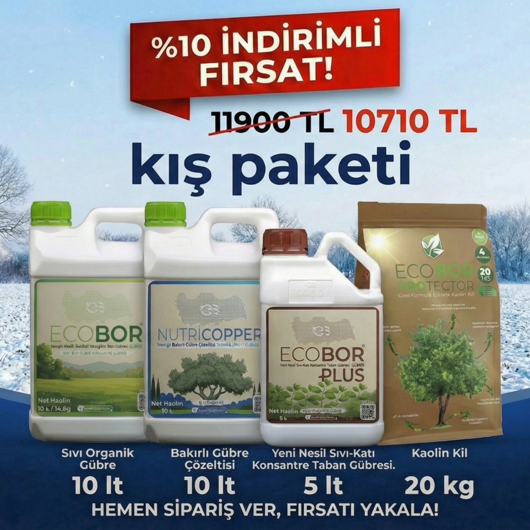 Ecobor Avantajlı Kış Paketi Süper 4'lü Set