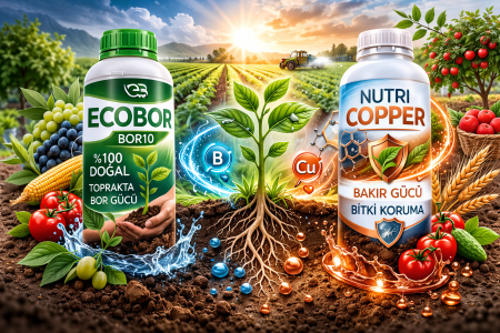 İklim Değişikliği Sürecinde Bitki Sağlığının Korunmasında Bor ve Bakır Bazlı Besleme Stratejileri: Ecobor ve Nutri Copper Örneği