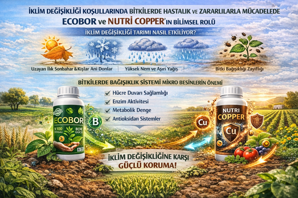 İklim Değişikliği Tarımı Nasıl Etkiliyor?