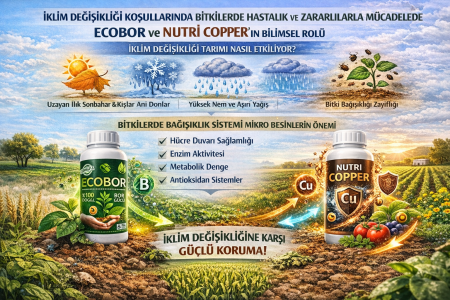 İklim Değişikliği Tarımı Nasıl Etkiliyor?