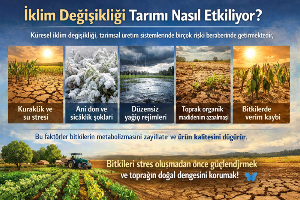 İklim Değişikliği Tarımı Nasıl Etkiliyor?