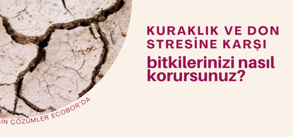 Kuraklık ve Don Stresine Karşı Bitkilerinizi Nasıl Korursunuz?