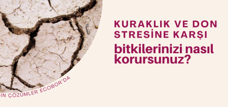 Kuraklık ve Don Stresine Karşı Bitkilerinizi Nasıl Korursunuz?