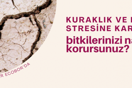 Kuraklık ve Don Stresine Karşı Bitkilerinizi Nasıl Korursunuz?
