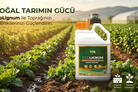 Tarımın Geleceği ve Karbon Ayak İzine Yeşil Çözüm: Ecolignum