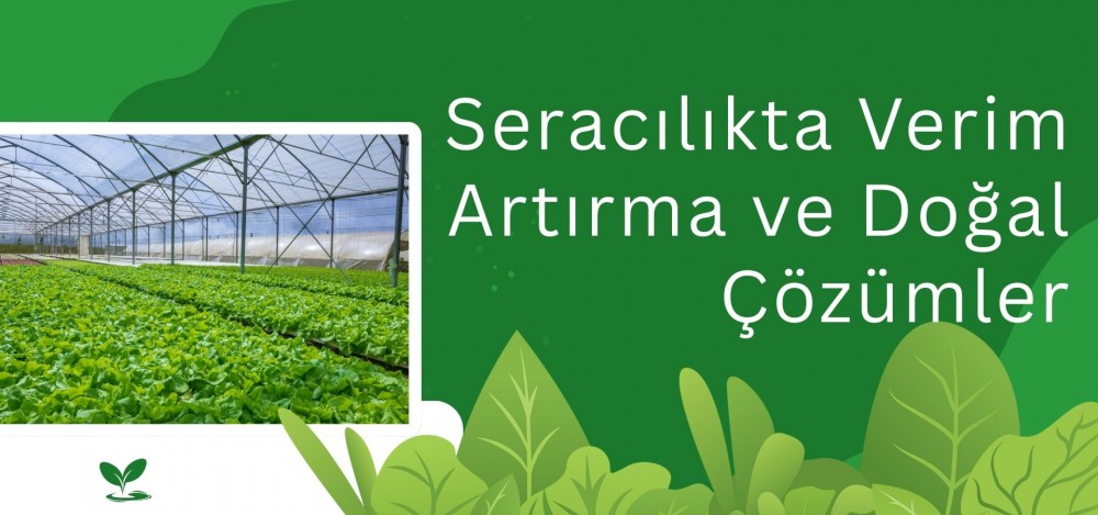 Seracılıkta Verim Artırma ve Doğal Çözümler Seracılıkta Verim Artırma ve Doğal Çözümler