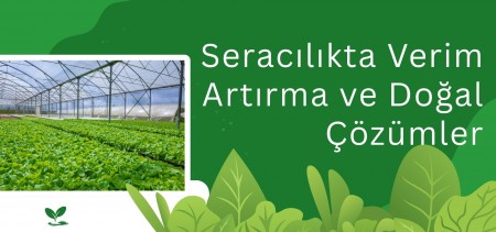 Seracılıkta Verim Artırma ve Doğal Çözümler