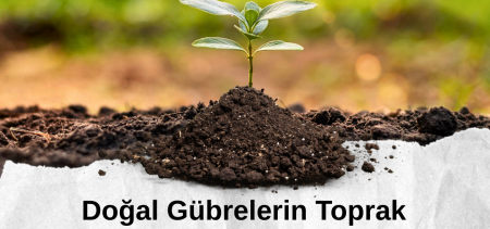 Doğal Gübrelerin Toprak Sağlığına Katkısı