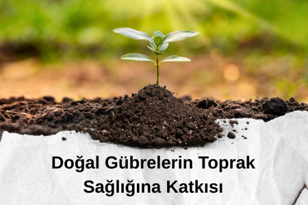 Doğal Gübrelerin Toprak Sağlığına Katkısı