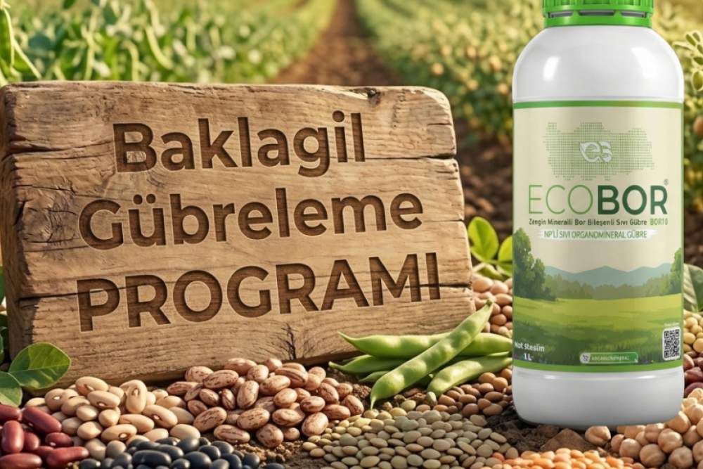 Baklagil Gübreleme Rehberi: Yüksek Verim İçin Entegre Ecobor Programı