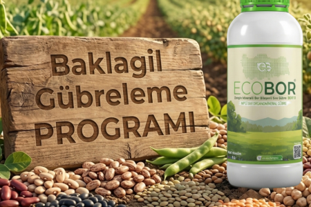 Baklagil Gübreleme Rehberi: Yüksek Verim İçin Entegre Ecobor Programı