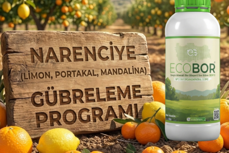 Narenciye (Limon, Portakal, Mandalina) Gübreleme Rehberi: Ecobor Programı