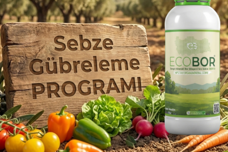 Sebze Gübreleme Rehberi: Yüksek Verim ve Kaliteli Ürün İçin Entegre Ecobor Programı