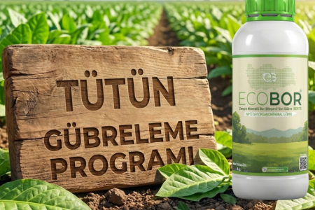 Tütün Gübreleme Rehberi: Yüksek Yaprak Kalitesi ve Aromatik Verim İçin Ecobor Programı