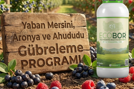 Yaban Mersini, Aronya ve Ahududu Gübreleme Rehberi: Yüksek Verim ve Meyve Kalitesi İçin Entegre Ecobor Programı
