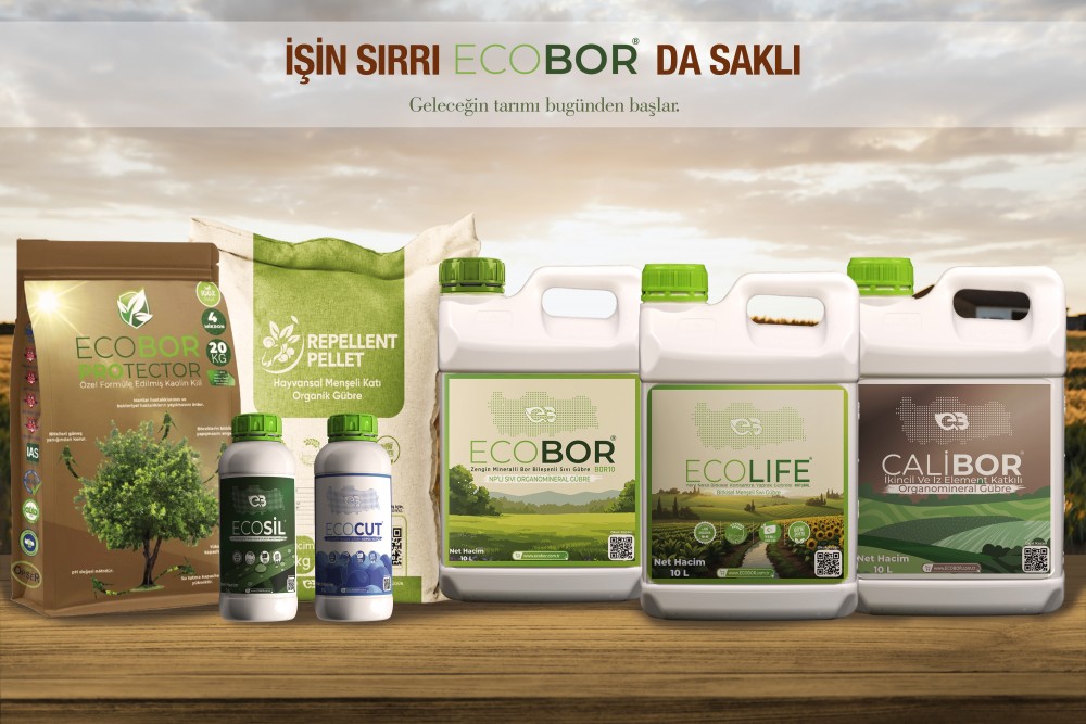 Doğadan Gelen Güç: Sürdürülebilir Tarımın Geleceği