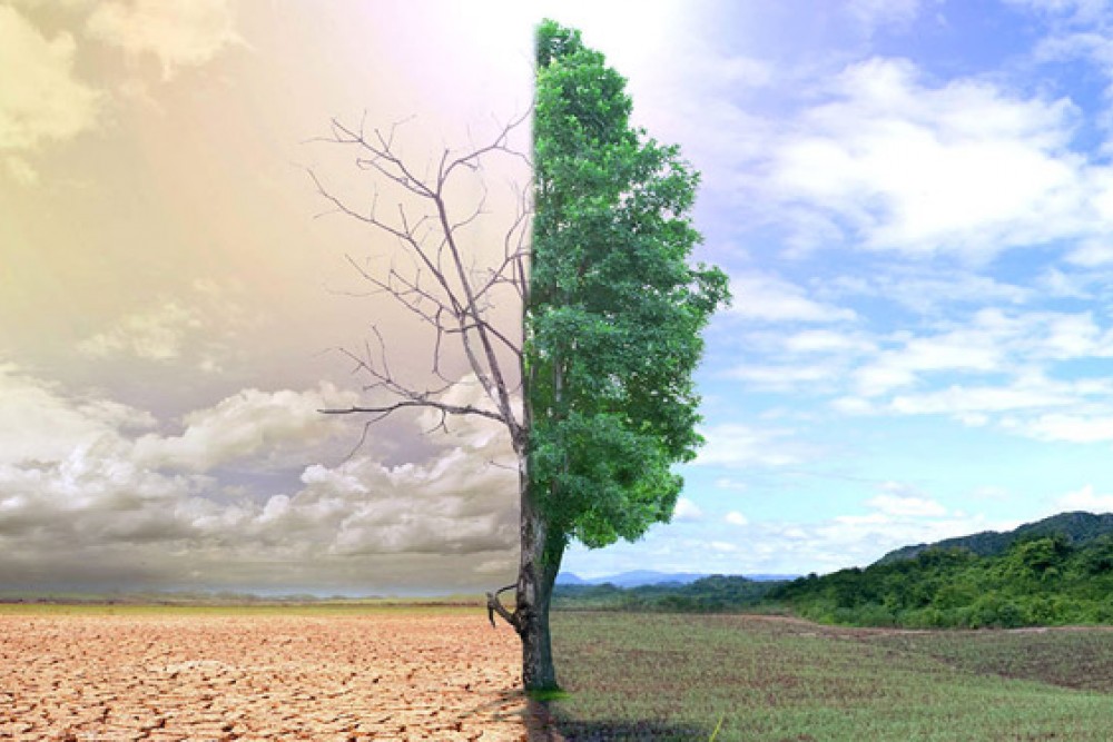 İklim Değişikliğinin Tarıma Etkileri