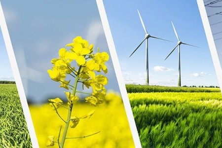 Sürdürülebilir Tarım Nedir?