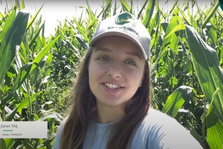 CEREN TAŞ’ın ECOBORLU MISIRLARI!