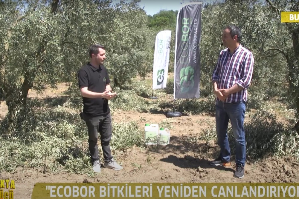 ECOBOR TOPRAKTA BOR GÜCÜ PROGRAMI ARAZİ ÇEKİMLERİ