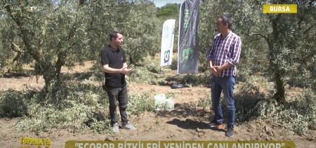 ECOBOR TOPRAKTA BOR GÜCÜ PROGRAMI ARAZİ ÇEKİMLERİ