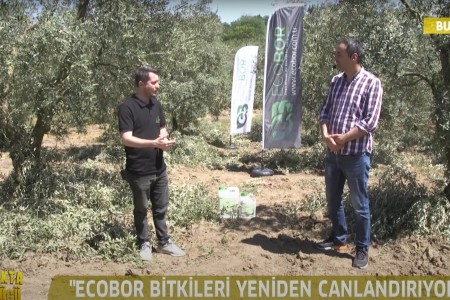 ECOBOR TOPRAKTA BOR GÜCÜ PROGRAMI ARAZİ ÇEKİMLERİ