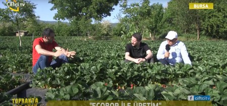 ECOBOR TOPRAKTA BOR GÜCÜ PROGRAMI ARAZİ ÇEKİMLERİ