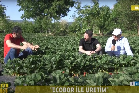 ECOBOR TOPRAKTA BOR GÜCÜ PROGRAMI ARAZİ ÇEKİMLERİ