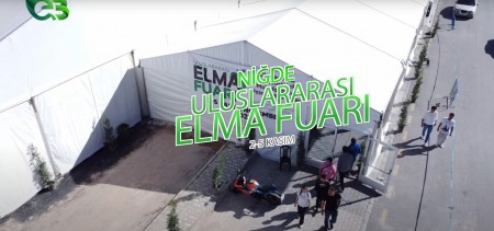 ELMA FUARI