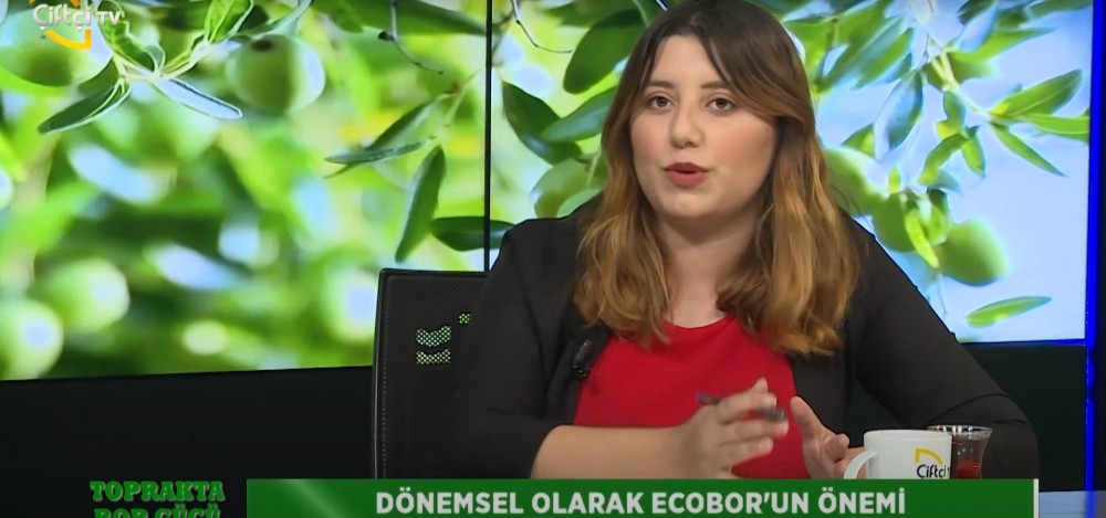 TOPRAKTA BOR GÜCÜ 17. BÖLÜM