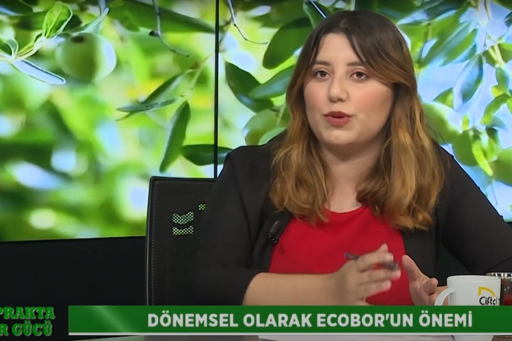 TOPRAKTA BOR GÜCÜ 17. BÖLÜM