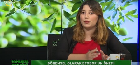TOPRAKTA BOR GÜCÜ 17. BÖLÜM