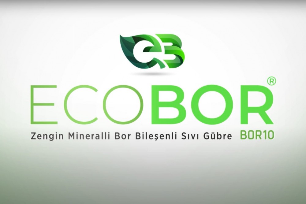 ECOBOR HAKKINDA SIKÇA SORULAN SORULAR 1 - YOĞUNLUK