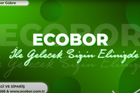 ECOBOR Nedir?