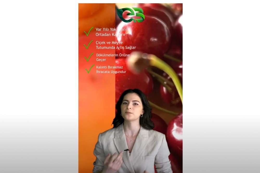 Sert Çekirdekli ve Kabuklu Meyvelerde ECOBOR!