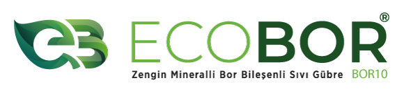Ecobor | Topraktaki Bor Gücü