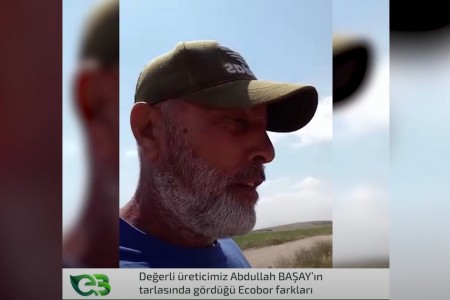 'Ecobor' Arpada Buğdayda ve Fasulyede Fark Yaratmaya Devam Ediyor!