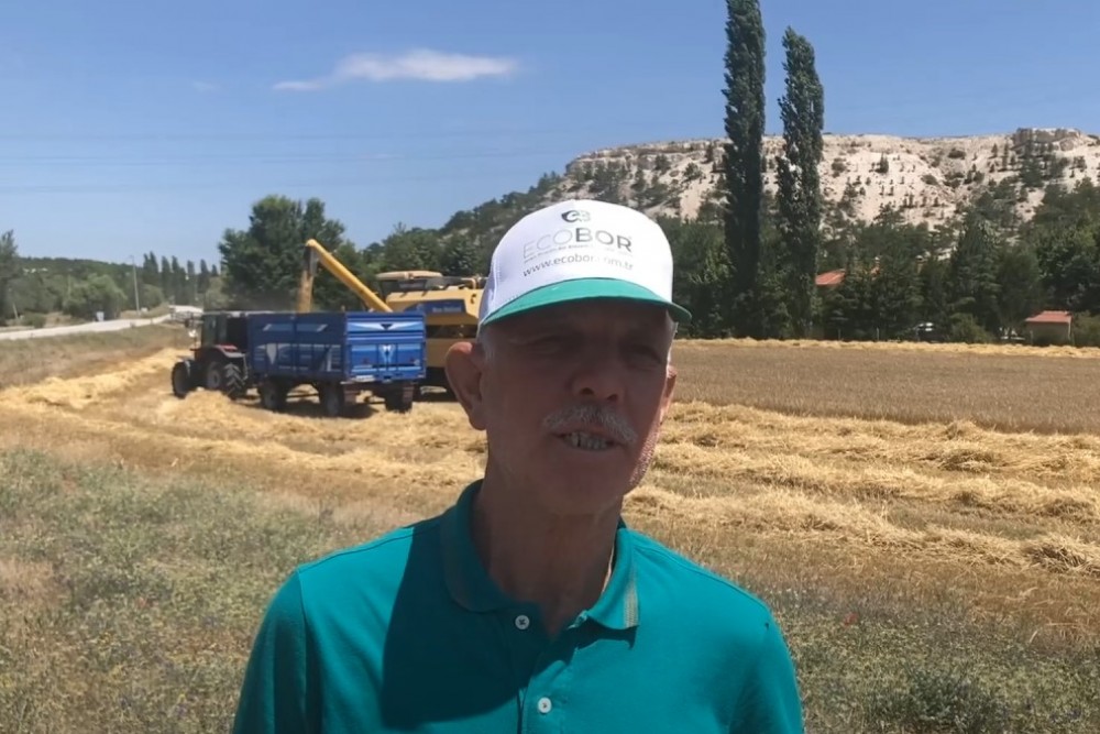 ARPA HASADI! BÖYLE VERİM GÖRÜLMEDİ!