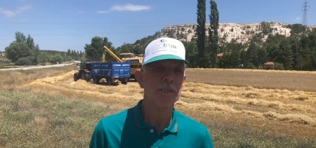 ARPA HASADI! BÖYLE VERİM GÖRÜLMEDİ!
