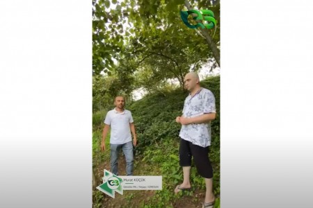 ÇAY VE FINDIK BAHÇESİNDEKİ VERİM ŞAŞIRTTI !