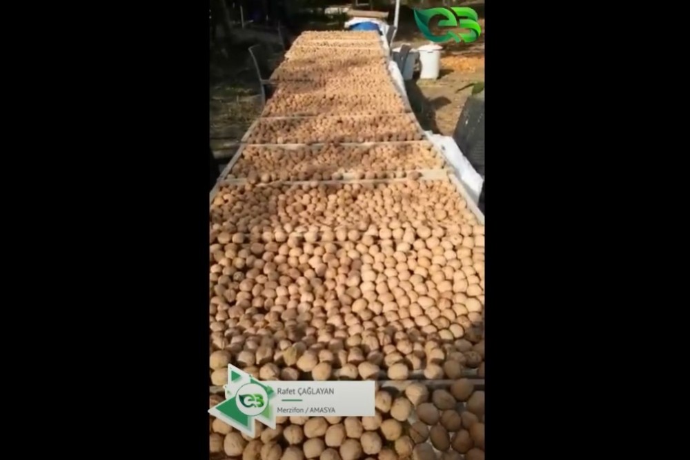 CHANDLER CEVİZDE ECOBOR FARKI!