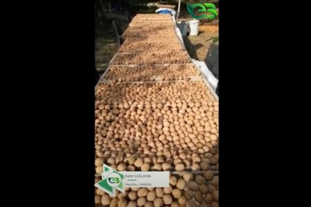 CHANDLER CEVİZDE ECOBOR FARKI!