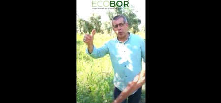 ECOBOR - Bursa Orhangazi Üreğil Köyü 2.Bölüm - Zeytin Uygulaması Ecobor Farkı