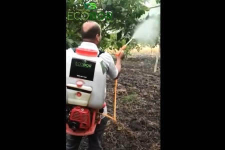 ECOBOR - Ceviz Uygulaması - Zengin Mineralli Bor Bileşenli Sıvı Gübre - Seyran Köyü - Bursa